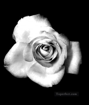 En blanco y negro Painting - xsh507 flores en blanco y negro